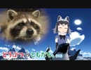 第407位：【動物紹介型Vtuber】どうぶつのともだち～アライグマ篇～【どうぶつとヒトシリーズ】