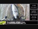 暇つぶしフィッシング part5