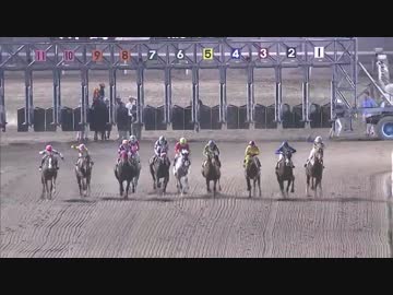 馬「走りたくないでござる」in川崎