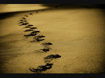 ゆっくりが解説する地方競馬列伝　第４５話