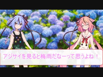 花屋鳴花と紫陽花