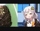 あかりの家庭菜園(オクラ編)Part2