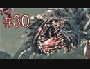 Bloodborne 最高難易度7周目 本編＆DLC全ボス撃破 全ED制覇 実況プレイ #30