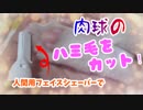 肉球のハミ毛を電動シェーバーでカットする！
