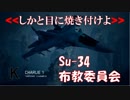 Ace Combat 7 Multiplayer141  バトルロイヤル  Su-34 + HCAA