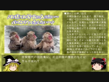 【ゆっくり解説】『幻獣辞典』の世界25：おサルのほいさっさ