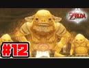 【実況】朽ちぬ闇、狼となりて薄明りの中馳せ参ずる【トワイライトプリンセスHD】Part12