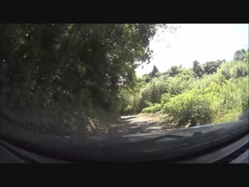 【車載動画】ちょっと険道探索