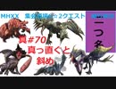 【MHXX縛り実況 真#70】真っ直ぐと斜めVS隻眼イャンガルルガ、ナルガクルガ他