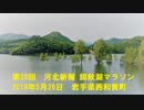 2019年5月26日　第39回　河北新報　錦秋湖マラソン　岩手県西和賀町　牛仮装参戦