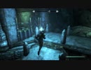 【実況無し】普通にスカイリムを冒険する♯69～後・グリムシーバーを見つける～【PS4】