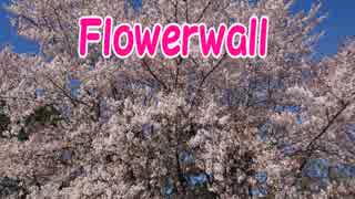 『Flowerwall／米津玄師』【Off Vocal】メロディー有り