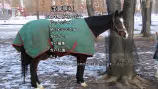 ウイニングポスト９を何も考えずにプレイ part16