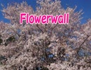 『Flowerwall／米津玄師』【Off Vocal】