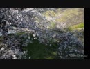 有名人伝〜QUEEN物語
