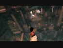 【アラサーBBAと腹ペコ大鷲】人喰いの大鷲トリコ 初見実況 part.15