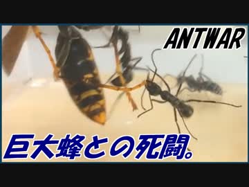 巨大蜂との死闘！～弔いのレクイエム～