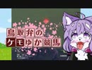 【クリフジ牝系で】鳥取弁のケモゆか競馬　part4【中央競馬界を粉砕する】