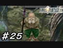 【実況】はじめてのFFⅨ♯25