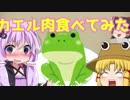 【VOICEROID劇場】ゆかりさんがカエル肉を食べるだけの動画【ゆっくり茶番】