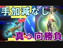 【スマブラSP】気ままに灯火の星やっていくよ　その34【実況】