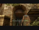 【FF12TZA】サクサクストーリー攻略&トロフィー100%【実況】part54