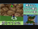 【実況】最強の門番が山に居ます スーパーマリオ64DS実況プレイ#20