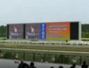 【のび太】競馬予想動画　　おまけの目黒記念