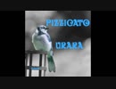 pizzicato