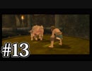 【ゼルダの伝説】あの日諦めたゼルダの伝説トワイライトプリンセス #13【1人実況】