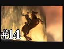 【ゼルダの伝説】あの日諦めたゼルダの伝説トワイライトプリンセス #14【1人実況】