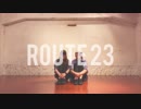 【バナナでやかんに飛び込んだ】ROUTE 23を踊ってみた