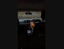 悪質な車上荒し