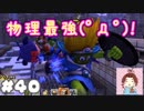 魔法兵器＜城壁＝物理最強【ドラゴンクエストビルダーズ２】： 40