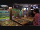 基板大好き・レアなピンボールが大集合 Pinball Perfection編(4)