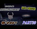 愚者の闘技場　戦いを求めて　HOLLOW KNIGHT　#30