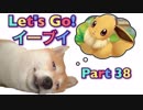 【実況】ポケットモンスター Let's Go! イーブイやろうぜ！　その３８