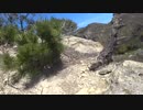 低山を歩こう 桶居山 20190309 part2