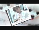 Stay Strong Jeongyeon