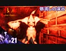 【影廊 Shadow Corridor】リスタートしすぎて特殊な勾玉を入手してクリアした幻覚を見ていたかもしれない人の実況【その21】