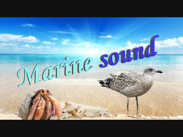 [立体音響］ASMR癒し波の音♪マリーンサウンド！イヤホン推奨★夏の海！自然の音フェチ