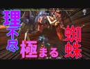 【初見】嫁大好き厨二病の私がMHXXをやる!【実況】part13