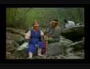 vid (5746)