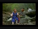 vid (5745)