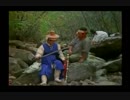 vid (5762)