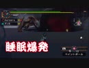 【縛り実況】武器が使えないMHP2G Part9
