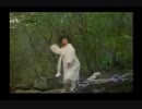 vid (5810)