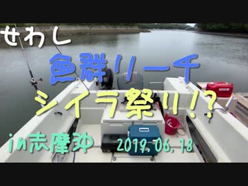 【船釣り】魚群リーチ！シイラ祭り！？【せわし】