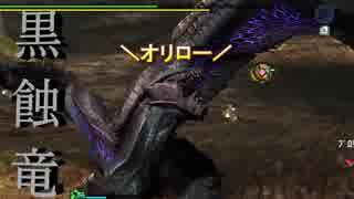 【MHXX】ゴマ団子くんの討伐【実況】