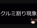 【ゆっくり朗読】ゆっくりさんと不思議な病気 その69